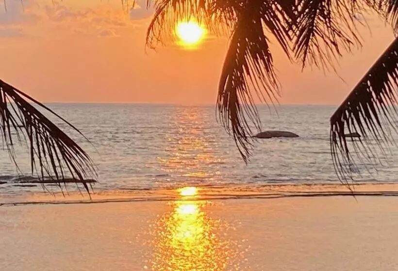 ホテル Coconut Bar Sea Lodge