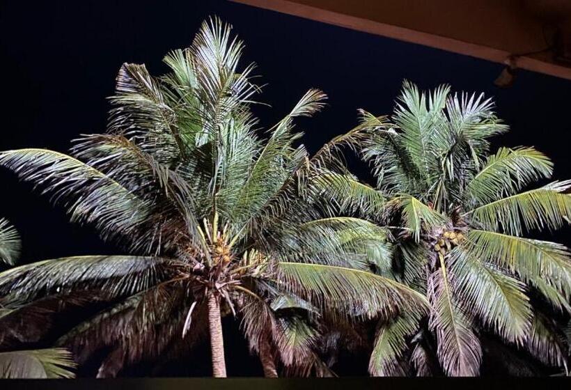ホテル Coconut Bar Sea Lodge