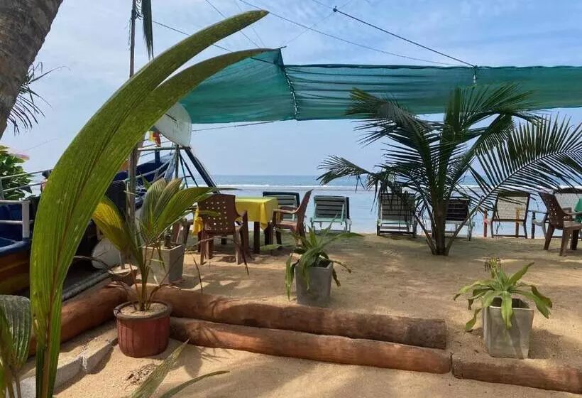 ホテル Coconut Bar Sea Lodge