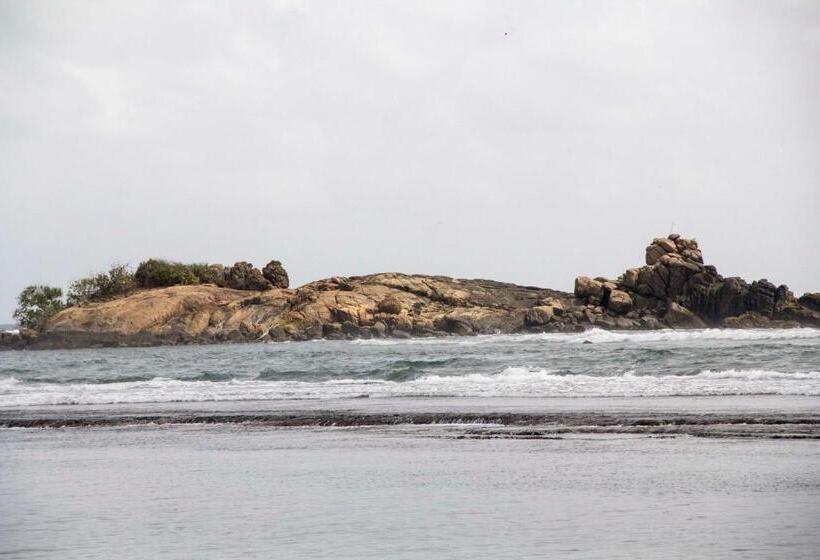 ホテル Coconut Bar Sea Lodge