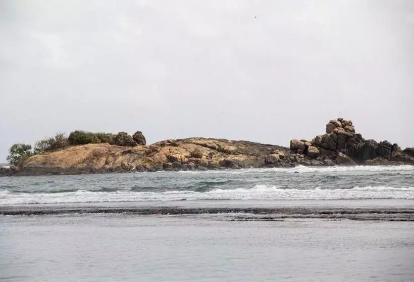 ホテル Coconut Bar Sea Lodge