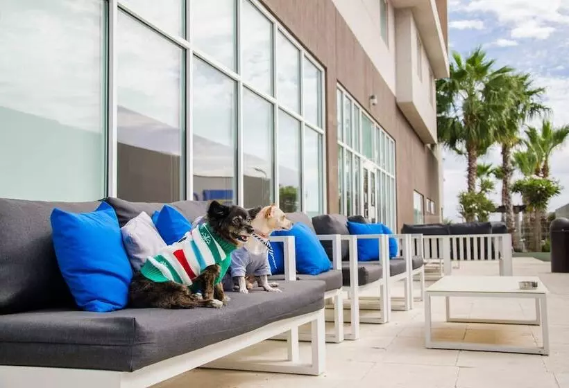 Hotelli Courtyard By Marriott Hermosillo