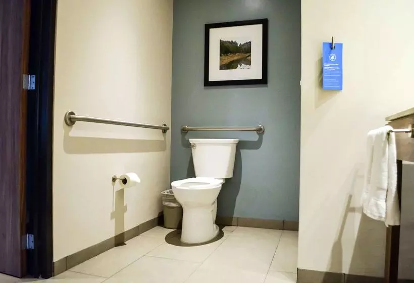 בית מלון כפרי Hampton Inn By Hilton Durango