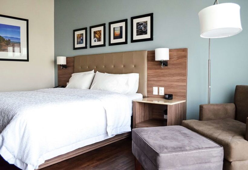 فندق Hampton Inn By Hilton Durango