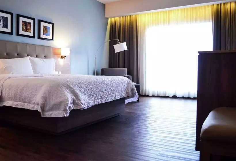 בית מלון כפרי Hampton Inn By Hilton Durango