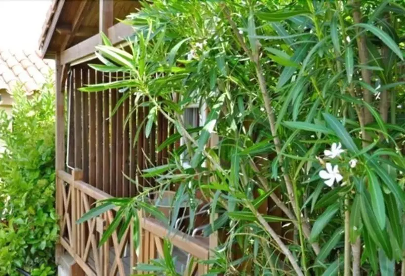 هتل Maora Village