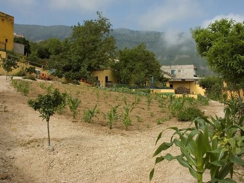Casa Rural Las Rosas