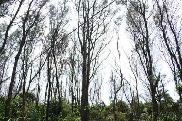 Lohas Beach Resort Villa