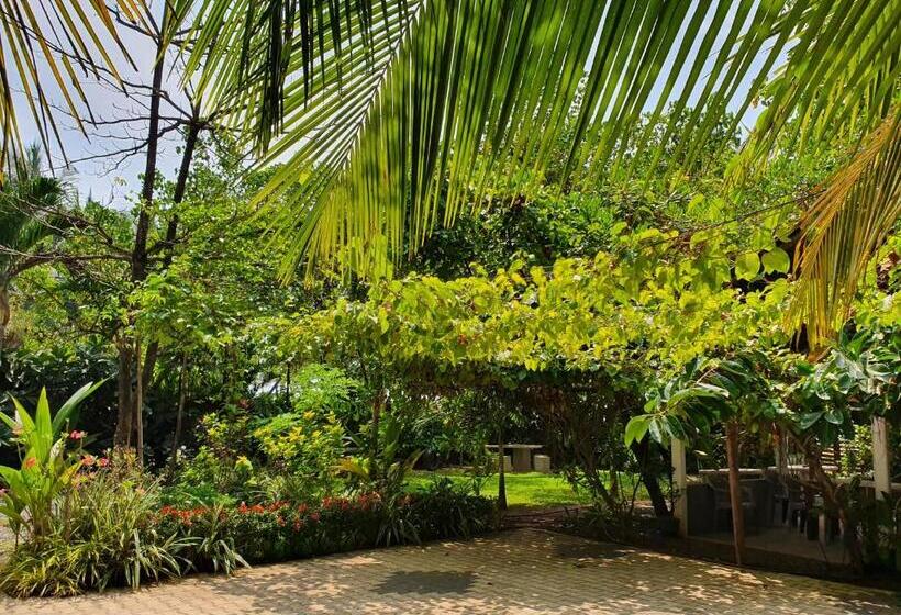 Lohas Beach Resort Villa