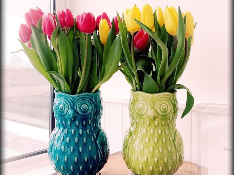 بنسيون Seavista B&b