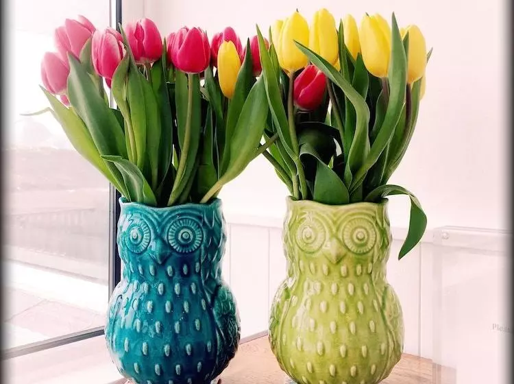 Пансион Seavista B&b