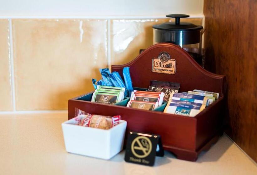 酒店 Aristotles North Shore