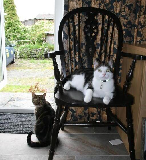 Bed and Breakfast Pendrin Guest House