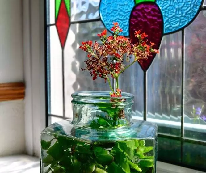 住宿加早餐  Tree Tops Guest House