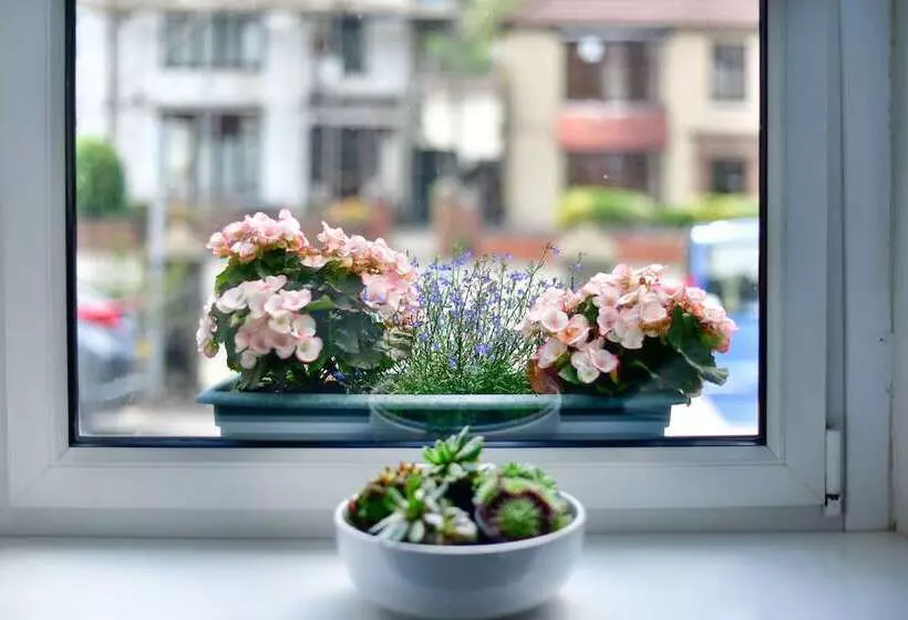 住宿加早餐  Tree Tops Guest House