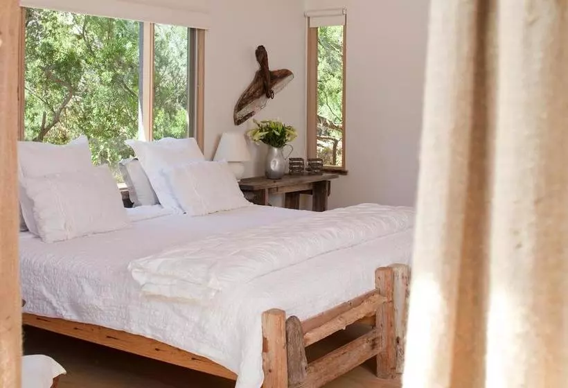 Отель Big Blue Backyard