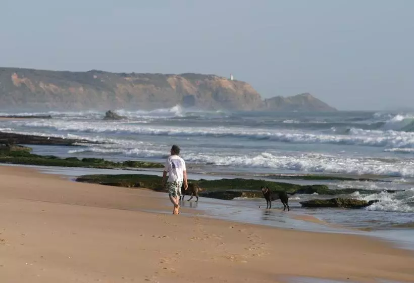 Отель Big Blue Backyard