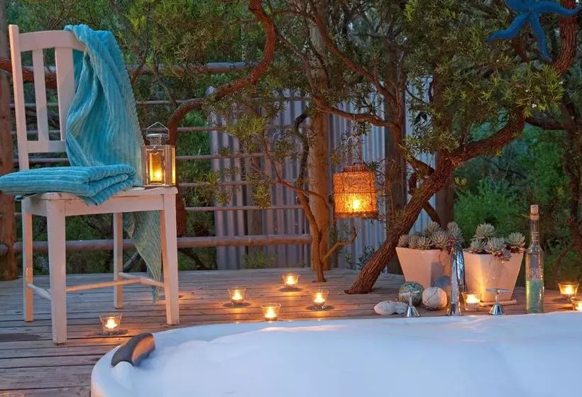 Отель Big Blue Backyard