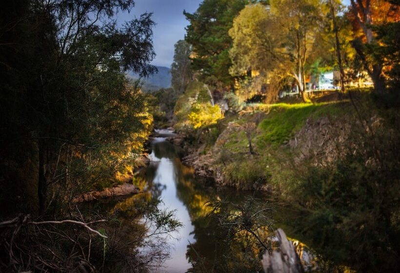 فندق Big4 Tasman Holiday Parks   Bright