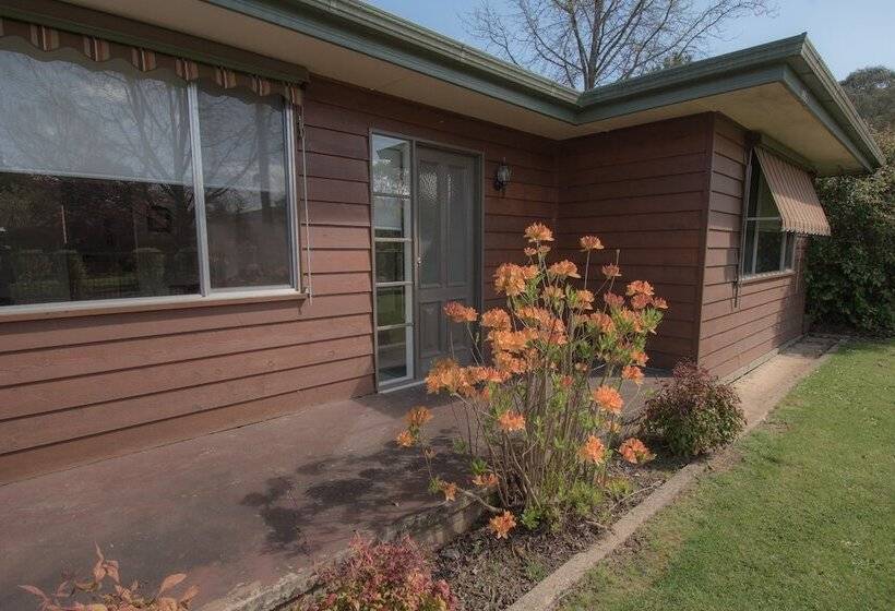 فندق Big4 Tasman Holiday Parks   Bright