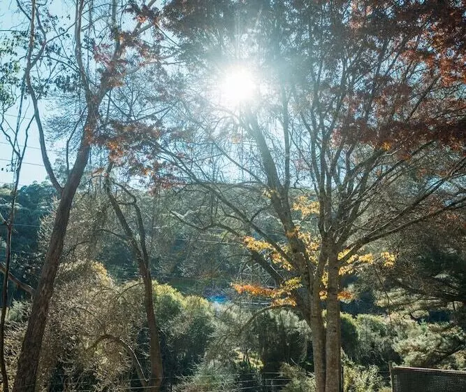 فندق Big4 Tasman Holiday Parks   Bright