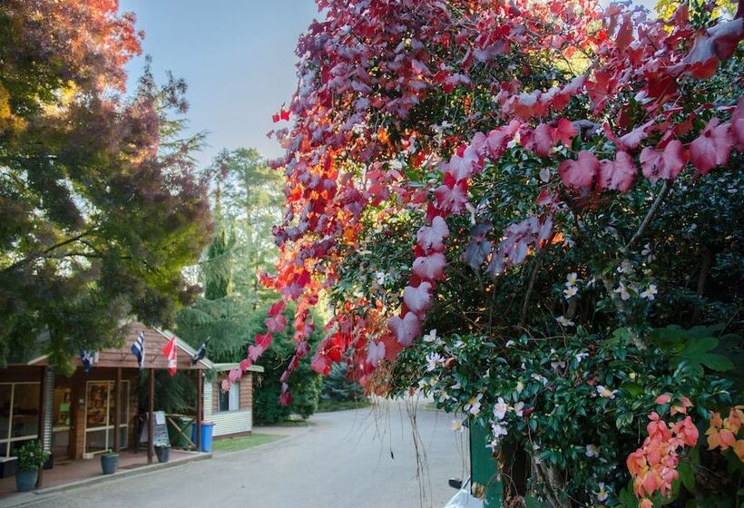 فندق Big4 Tasman Holiday Parks   Bright