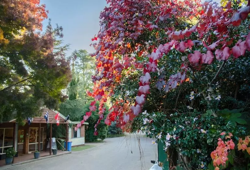 فندق Big4 Tasman Holiday Parks   Bright