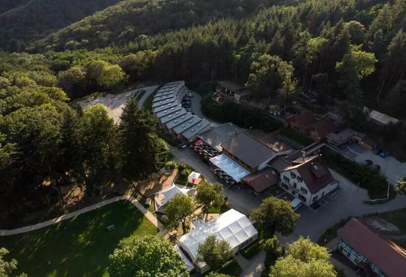 Отель Domaine Du Hirtz, Restaurant & Spa