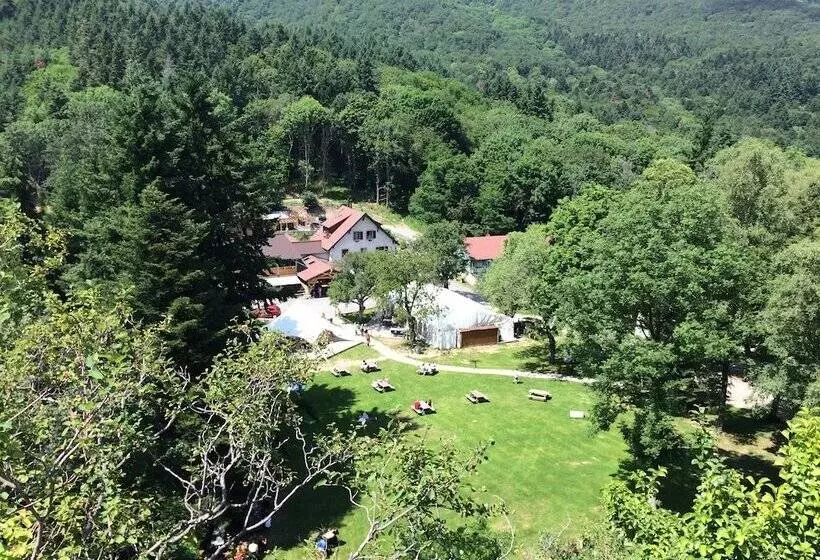 Отель Domaine Du Hirtz, Restaurant & Spa