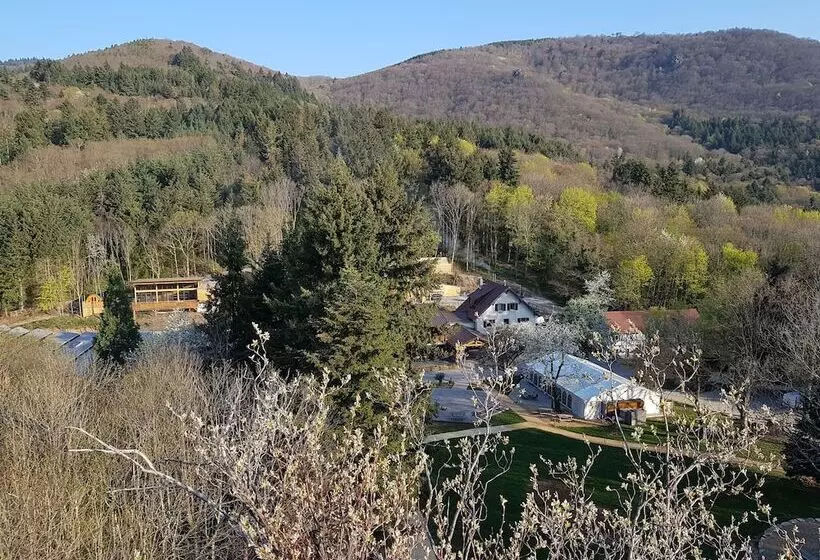 Отель Domaine Du Hirtz, Restaurant & Spa