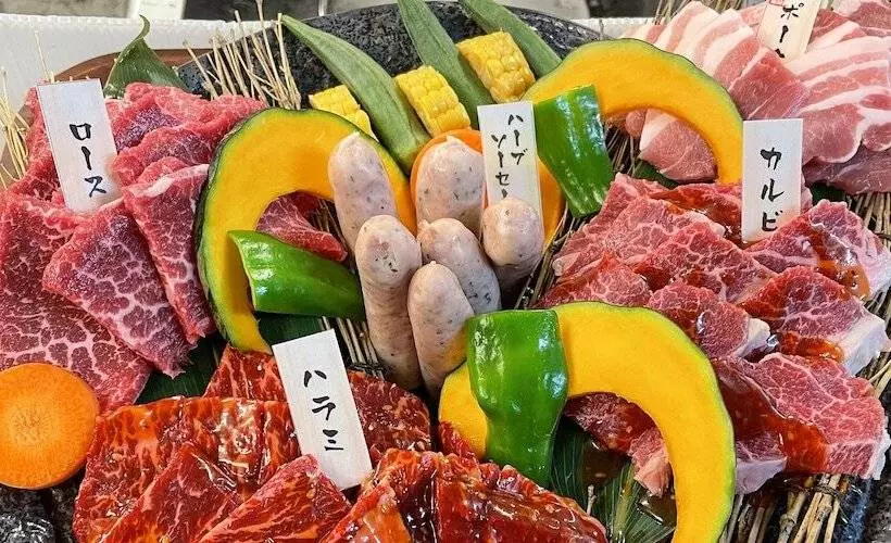 酒店 Hakuba Ryujin Onsen Ryokan Sui