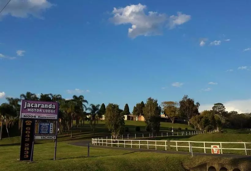 فندق Jacaranda Motor Lodge