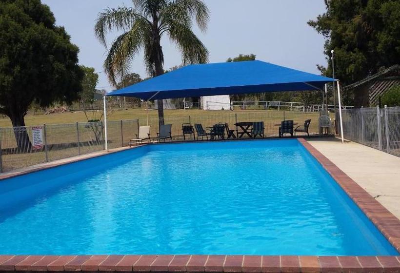 בית מלון כפרי Jacaranda Motor Lodge