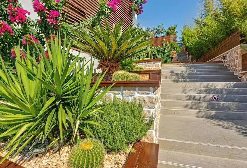 Hotel Meis Exclusive