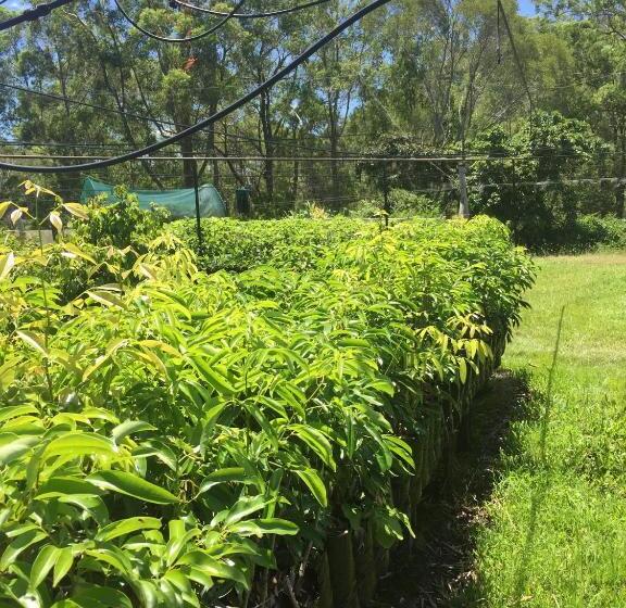 酒店 Rossmount Rural Retreat