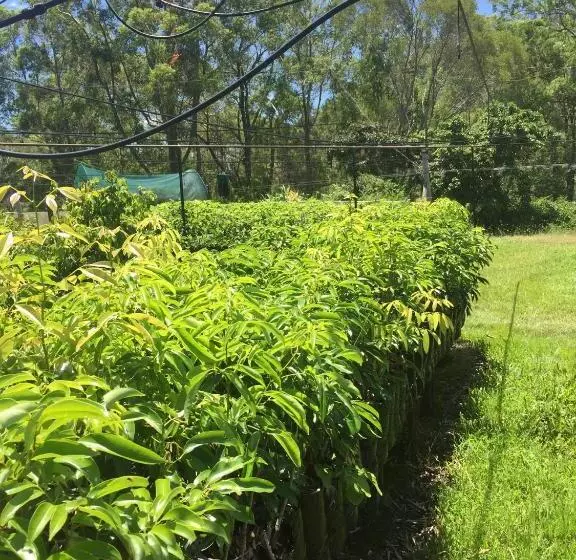 酒店 Rossmount Rural Retreat