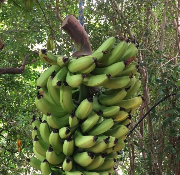 酒店 Rossmount Rural Retreat