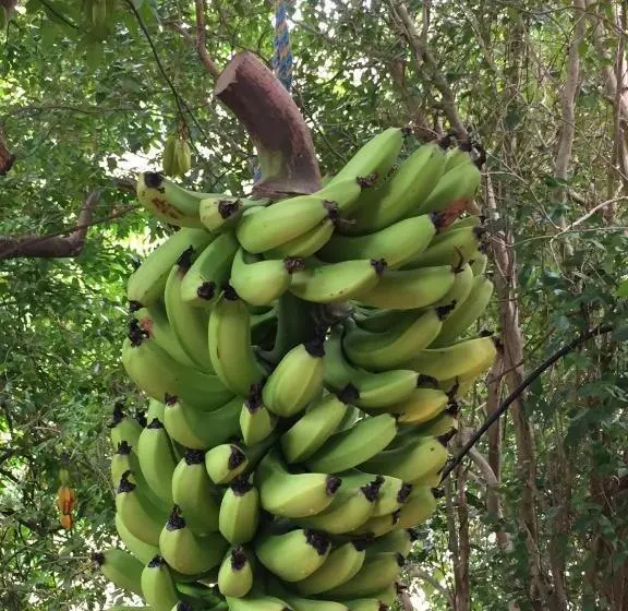 酒店 Rossmount Rural Retreat