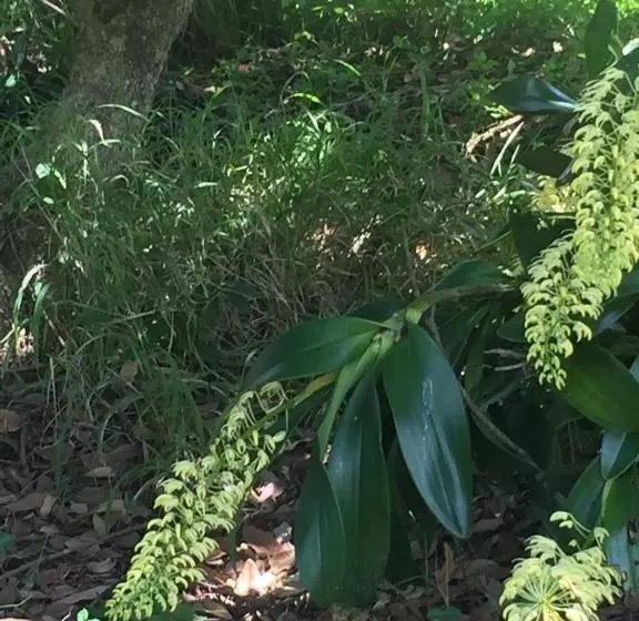 酒店 Rossmount Rural Retreat