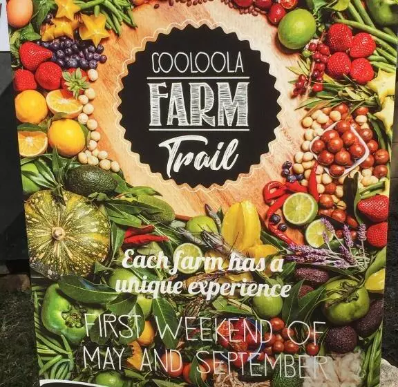 酒店 Rossmount Rural Retreat