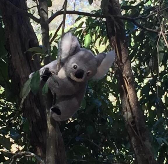 酒店 Rossmount Rural Retreat