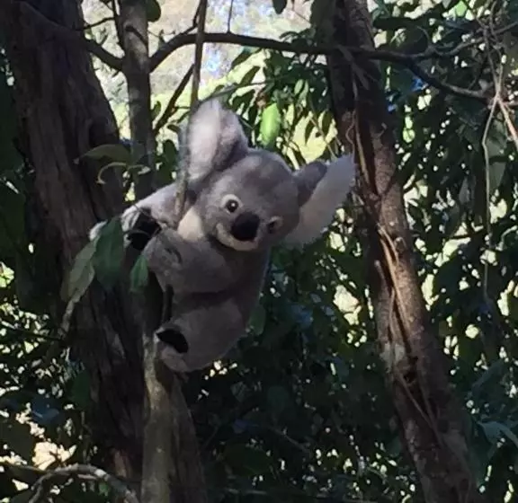 酒店 Rossmount Rural Retreat