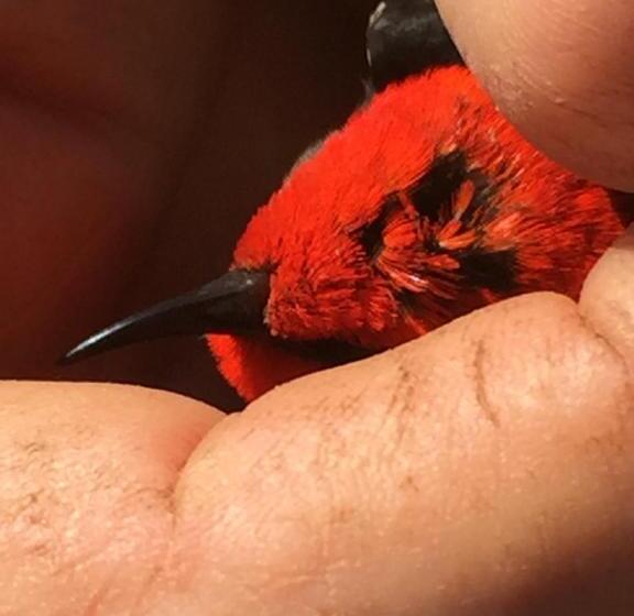 酒店 Rossmount Rural Retreat