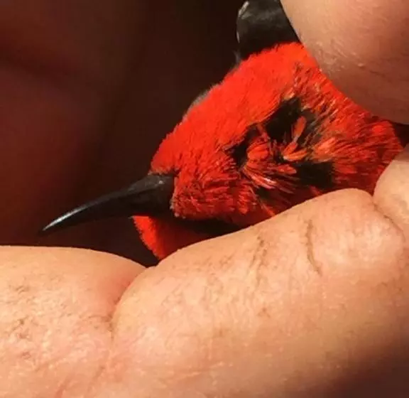 酒店 Rossmount Rural Retreat