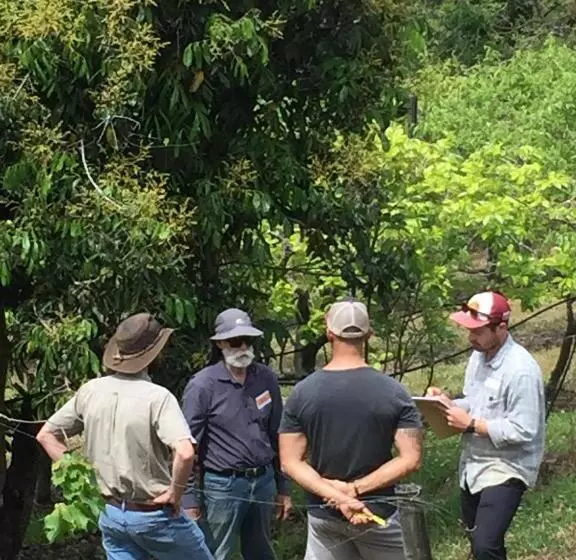 酒店 Rossmount Rural Retreat