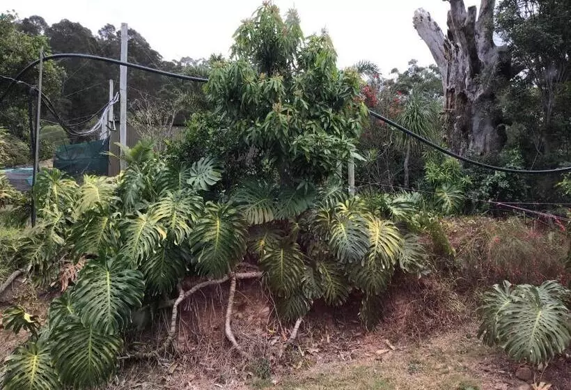 酒店 Rossmount Rural Retreat