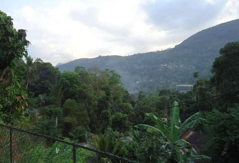 بنسيون Relaxed Style Of Stay