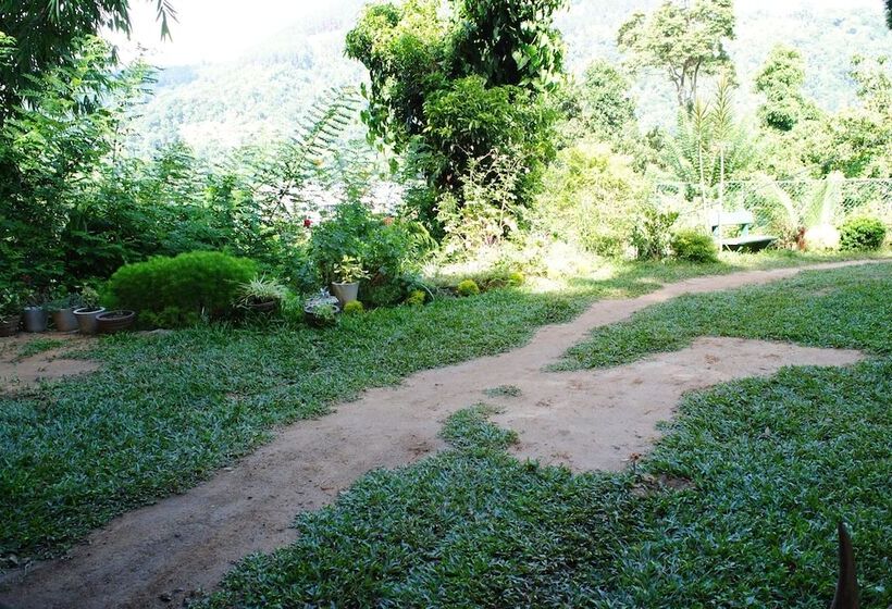 بنسيون Relaxed Style Of Stay