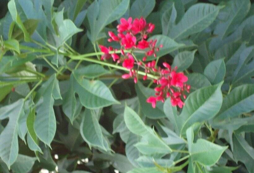 بنسيون Relaxed Style Of Stay