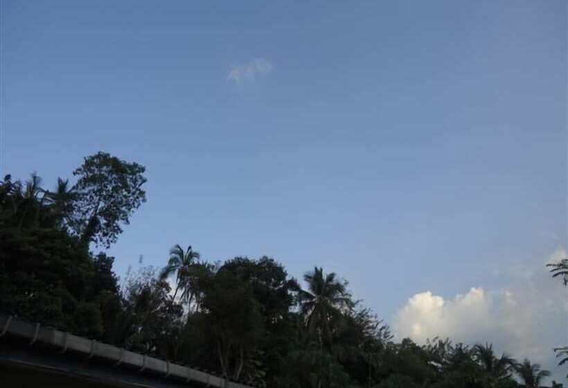 بنسيون Relaxed Style Of Stay